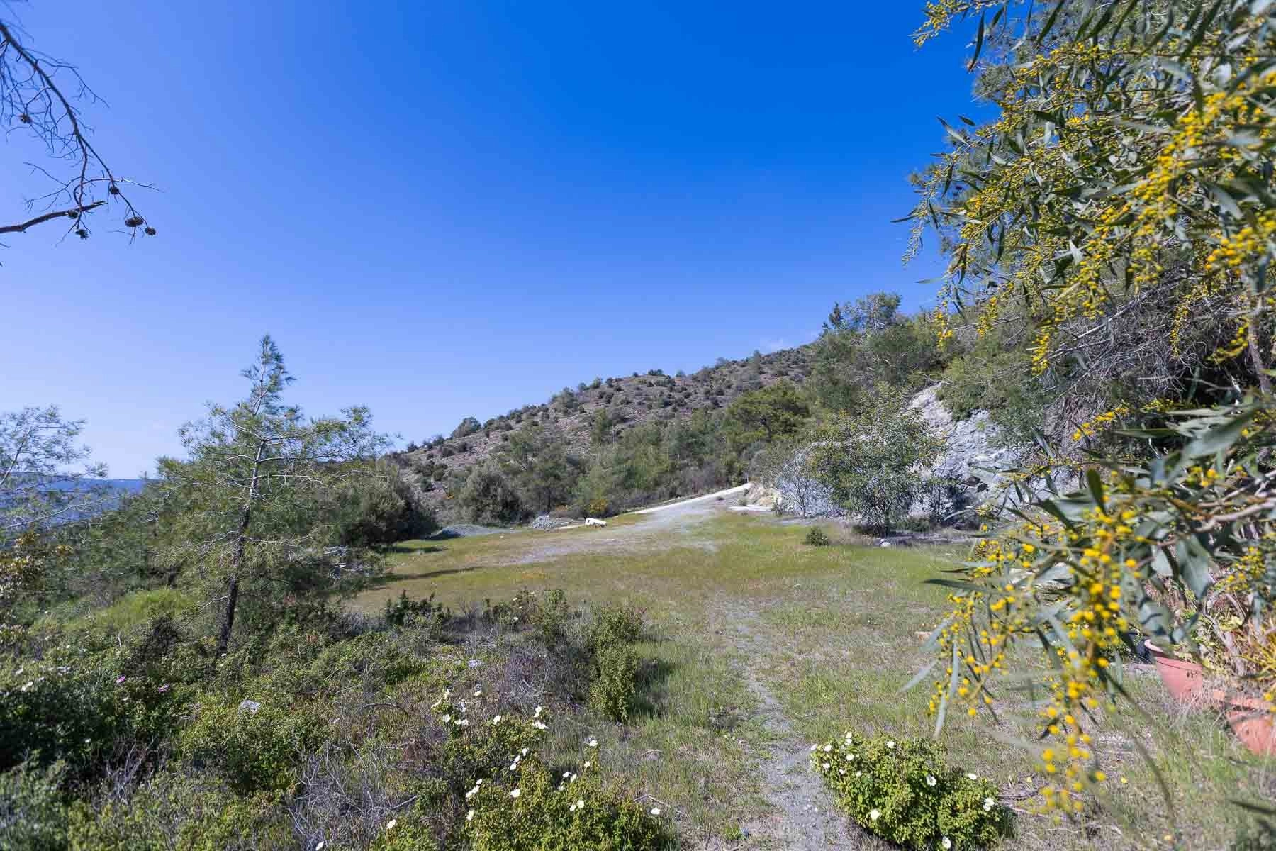 6,355m² Plot for Sale in Foinikaria, Limassol District