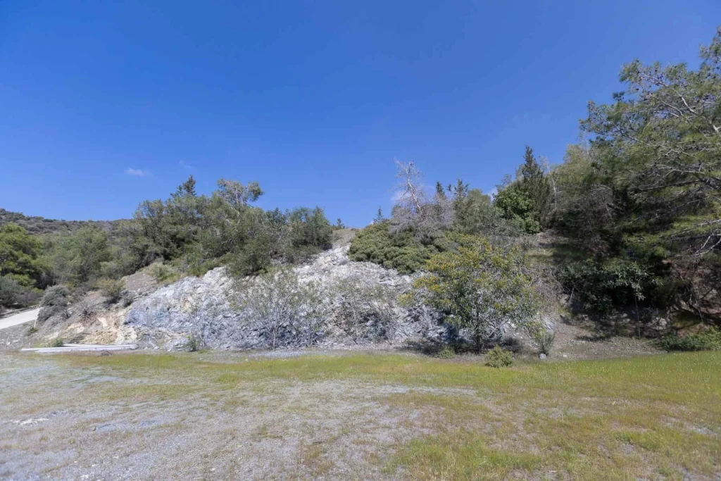 6,355m² Plot for Sale in Foinikaria, Limassol District