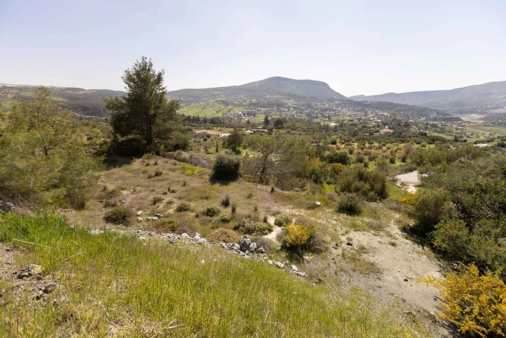 6,355m² Plot for Sale in Foinikaria, Limassol District
