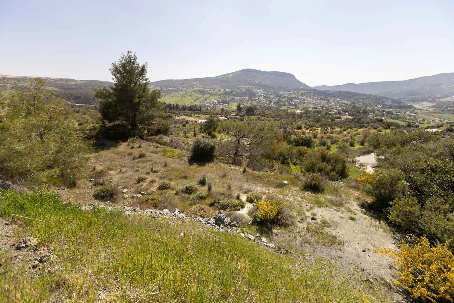 6,355m² Plot for Sale in Foinikaria, Limassol District