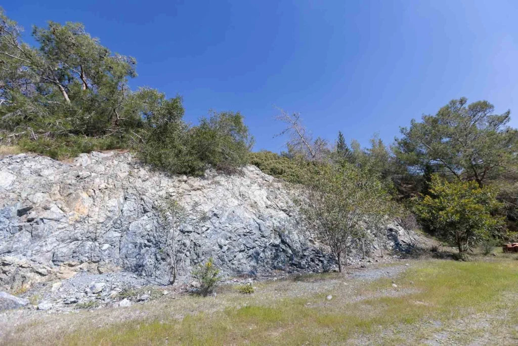 6,355m² Plot for Sale in Foinikaria, Limassol District