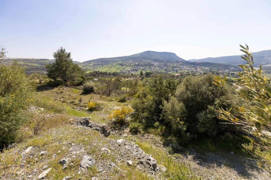 6,355m² Plot for Sale in Foinikaria, Limassol District