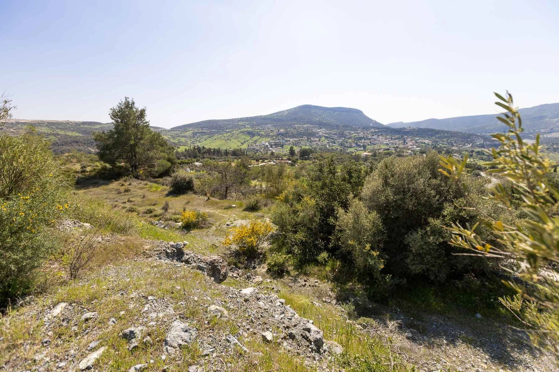 6,355m² Plot for Sale in Foinikaria, Limassol District