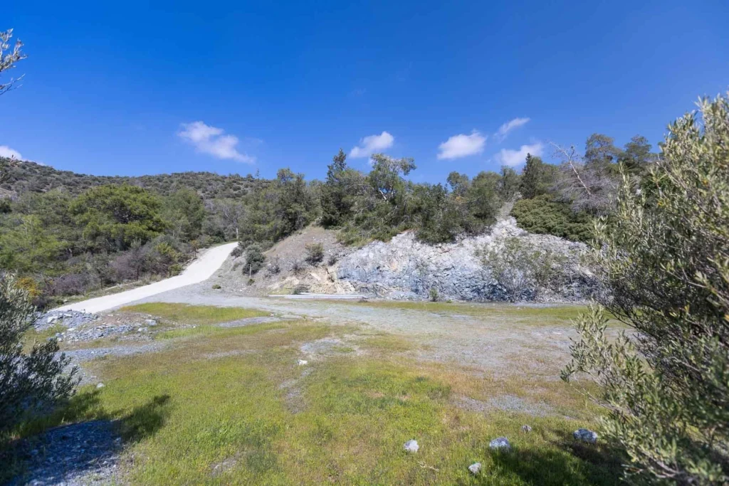 6,355m² Plot for Sale in Foinikaria, Limassol District