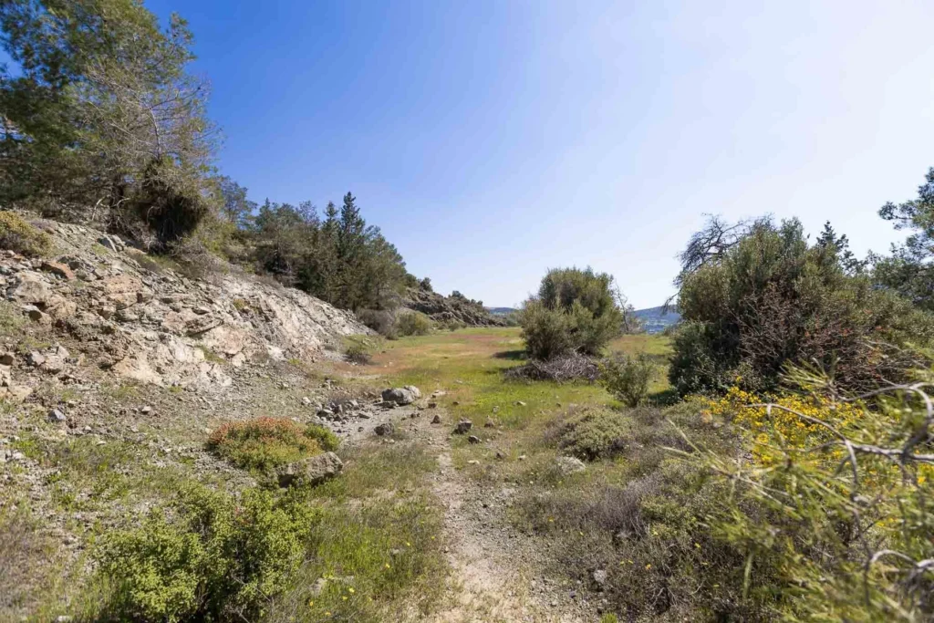 6,355m² Plot for Sale in Foinikaria, Limassol District