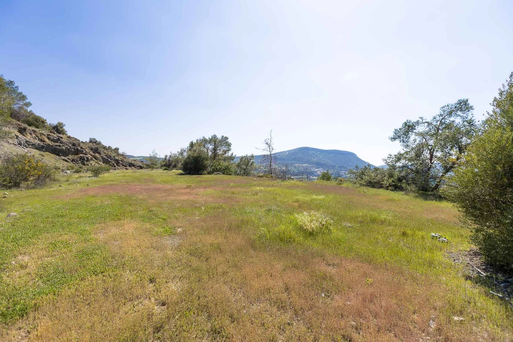 6,355m² Plot for Sale in Foinikaria, Limassol District