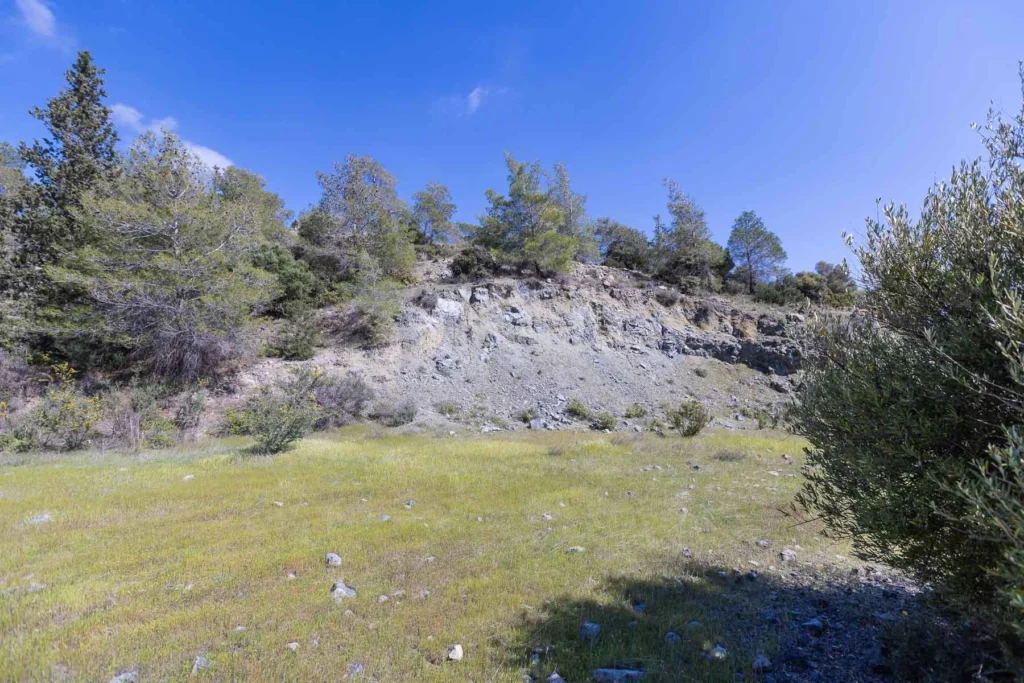 6,355m² Plot for Sale in Foinikaria, Limassol District