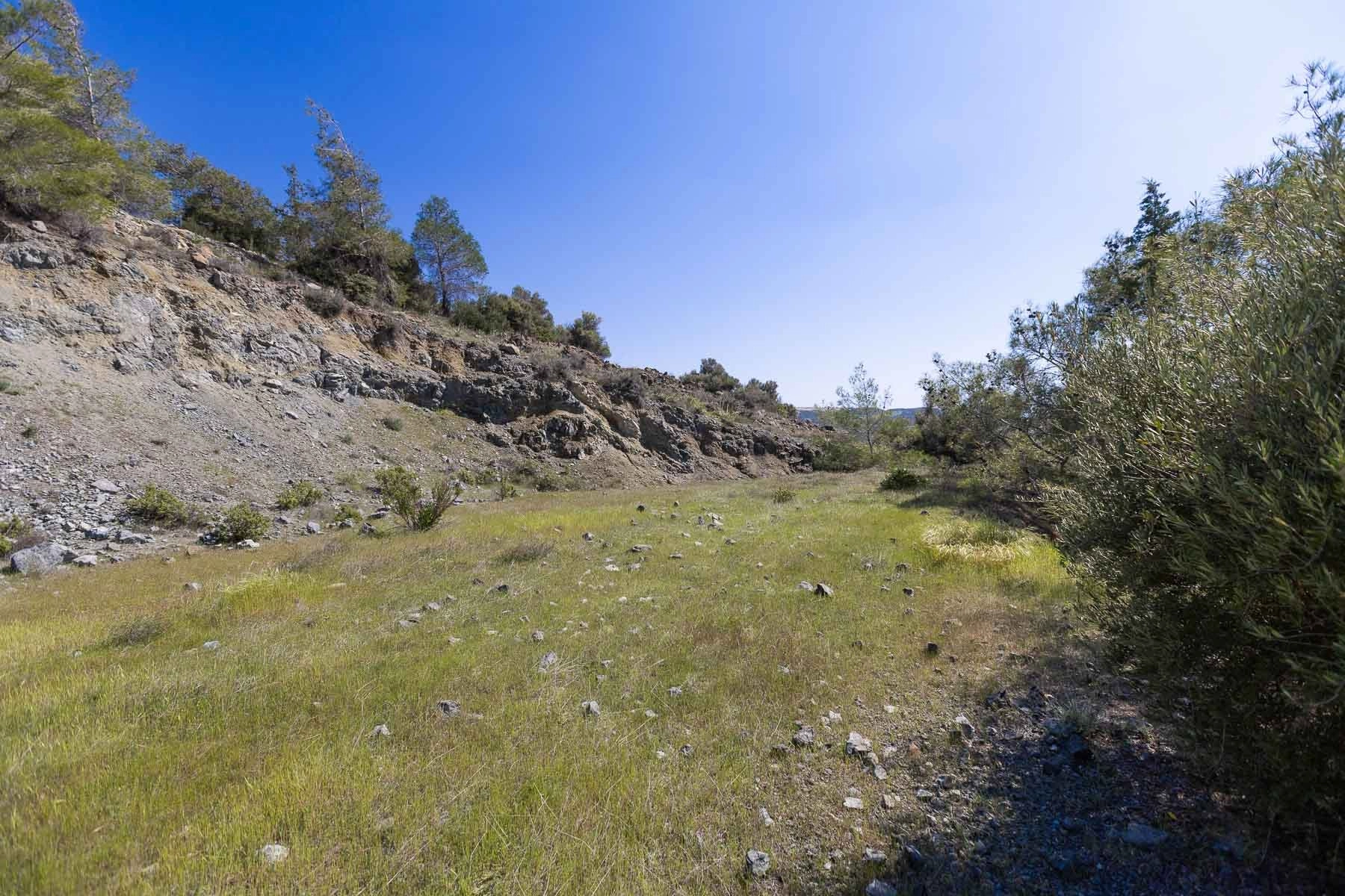 6,355m² Plot for Sale in Foinikaria, Limassol District