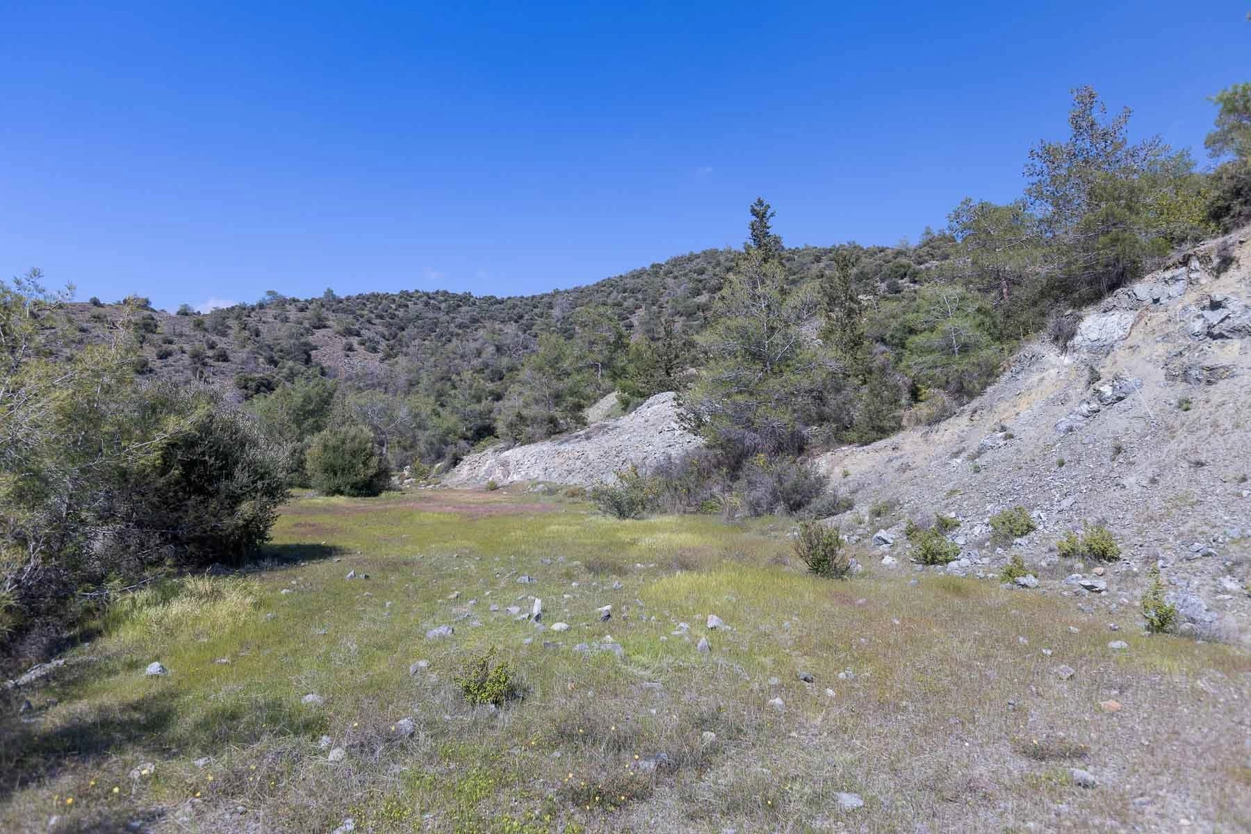 6,355m² Plot for Sale in Foinikaria, Limassol District