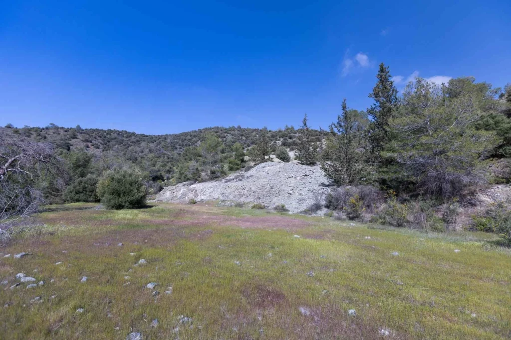 6,355m² Plot for Sale in Foinikaria, Limassol District