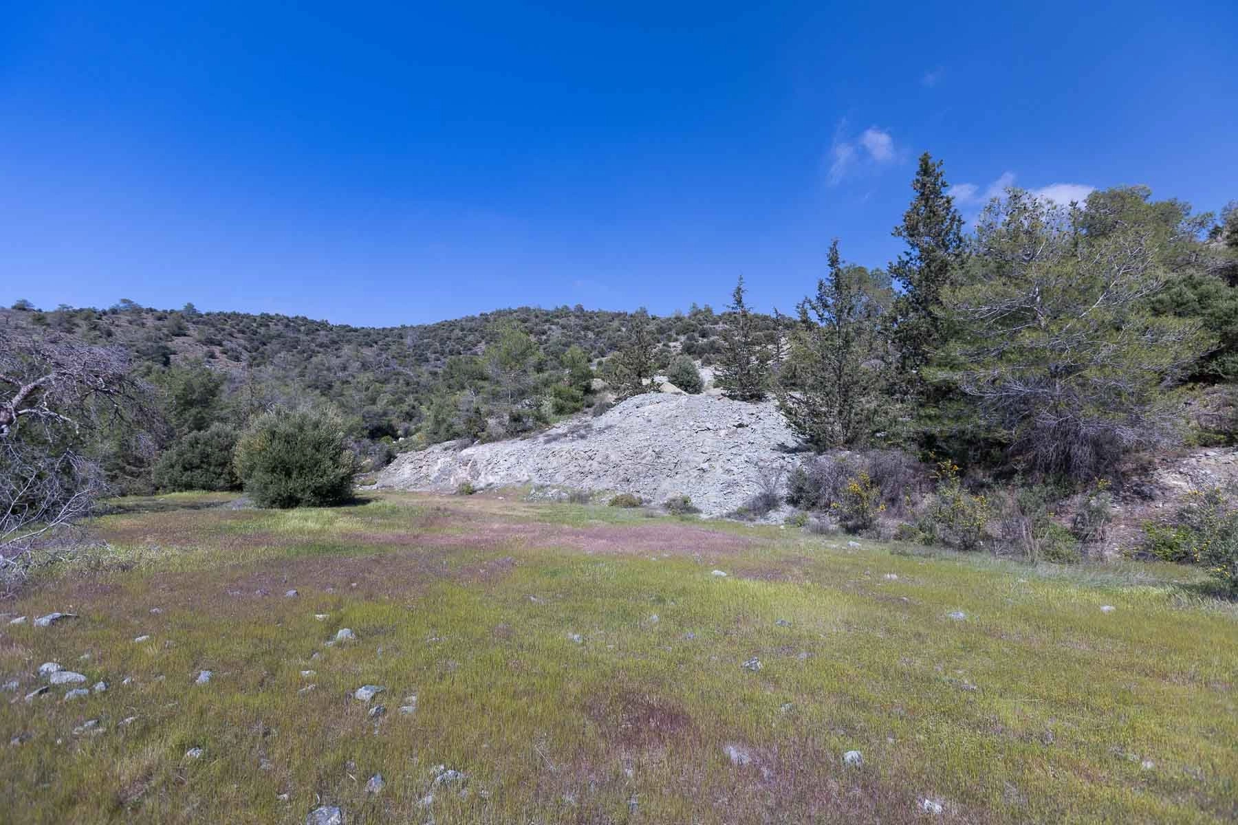 6,355m² Plot for Sale in Foinikaria, Limassol District