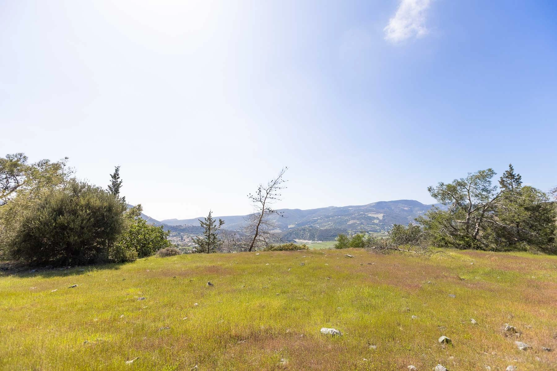 6,355m² Plot for Sale in Foinikaria, Limassol District