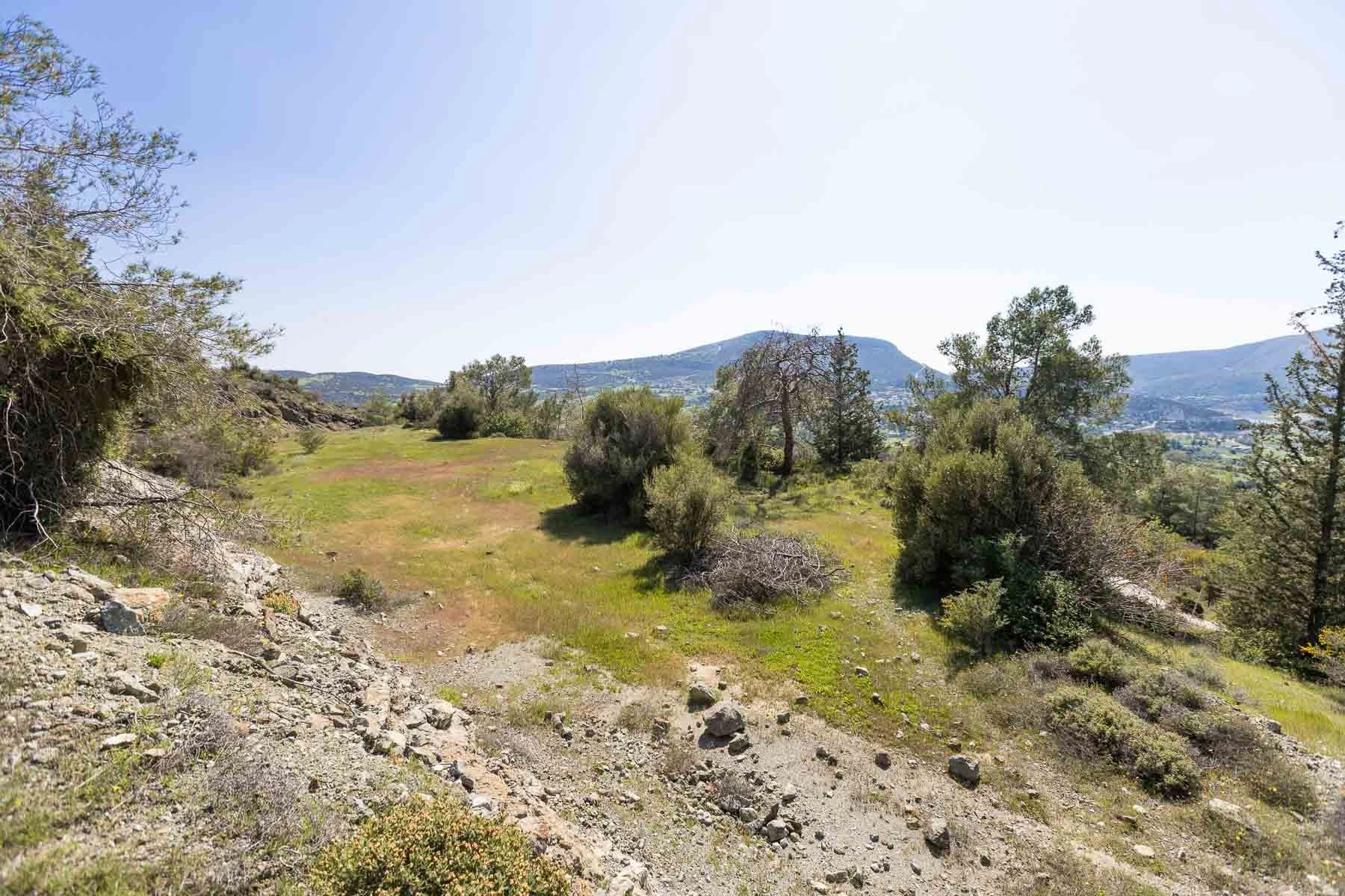 6,355m² Plot for Sale in Foinikaria, Limassol District