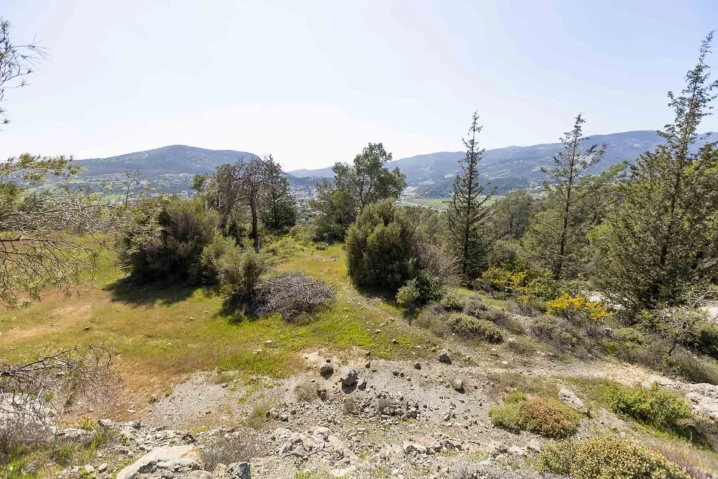 6,355m² Plot for Sale in Foinikaria, Limassol District