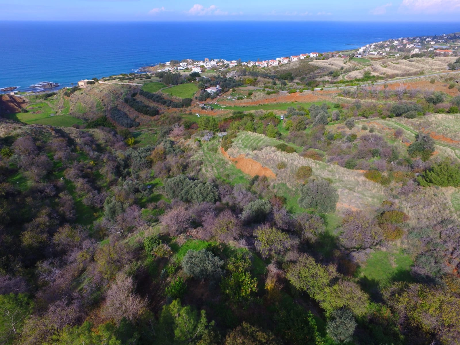 4,000m² Plot for Sale in Pomos, Paphos District