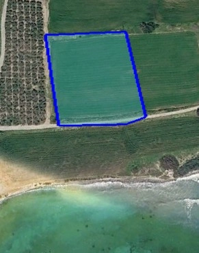 for Sale in Zygi, Larnaca District