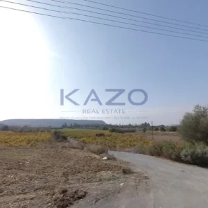7,400m² Plot for Sale in Paramali, Limassol District