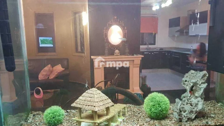 For Rent