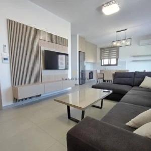 2 Bedroom Apartment for Rent in Larnaca District