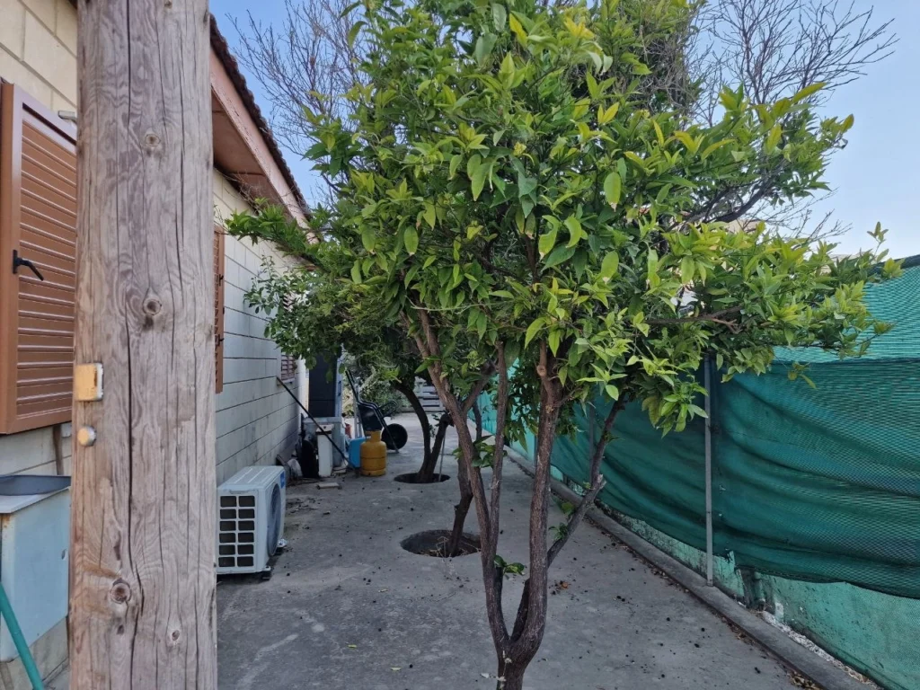 72m² Plot for Sale in Drosia, Larnaca District