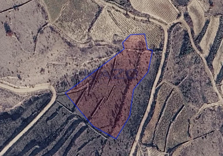 8,027m² Plot for Sale in Vasa Koilaniou, Limassol District