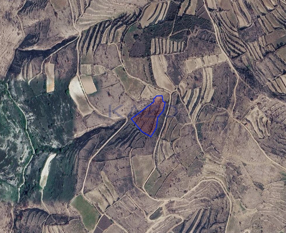 8,027m² Plot for Sale in Vasa Koilaniou, Limassol District