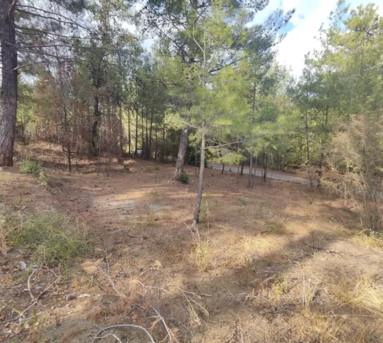 1,095m² Plot for Sale in Kato Platres, Limassol District