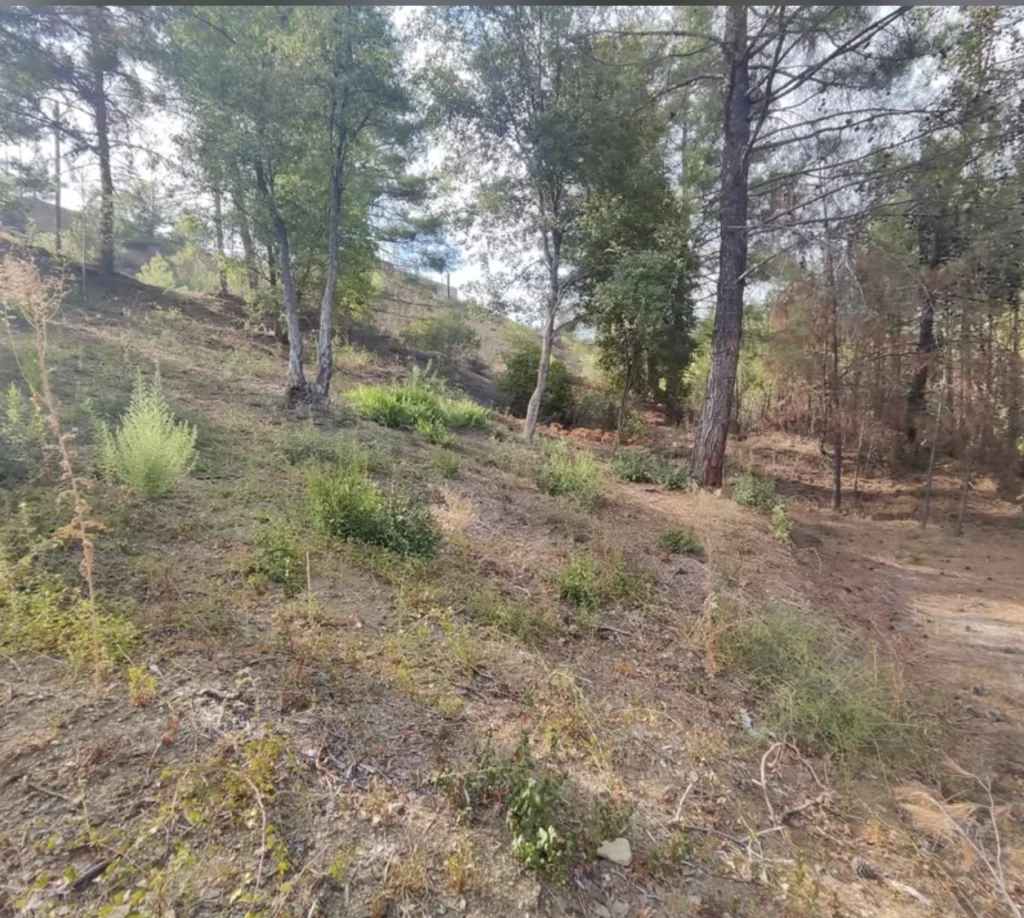 1,095m² Plot for Sale in Kato Platres, Limassol District