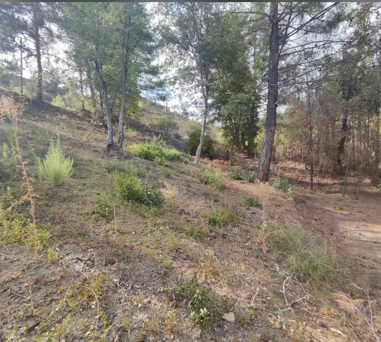 1,095m² Plot for Sale in Kato Platres, Limassol District