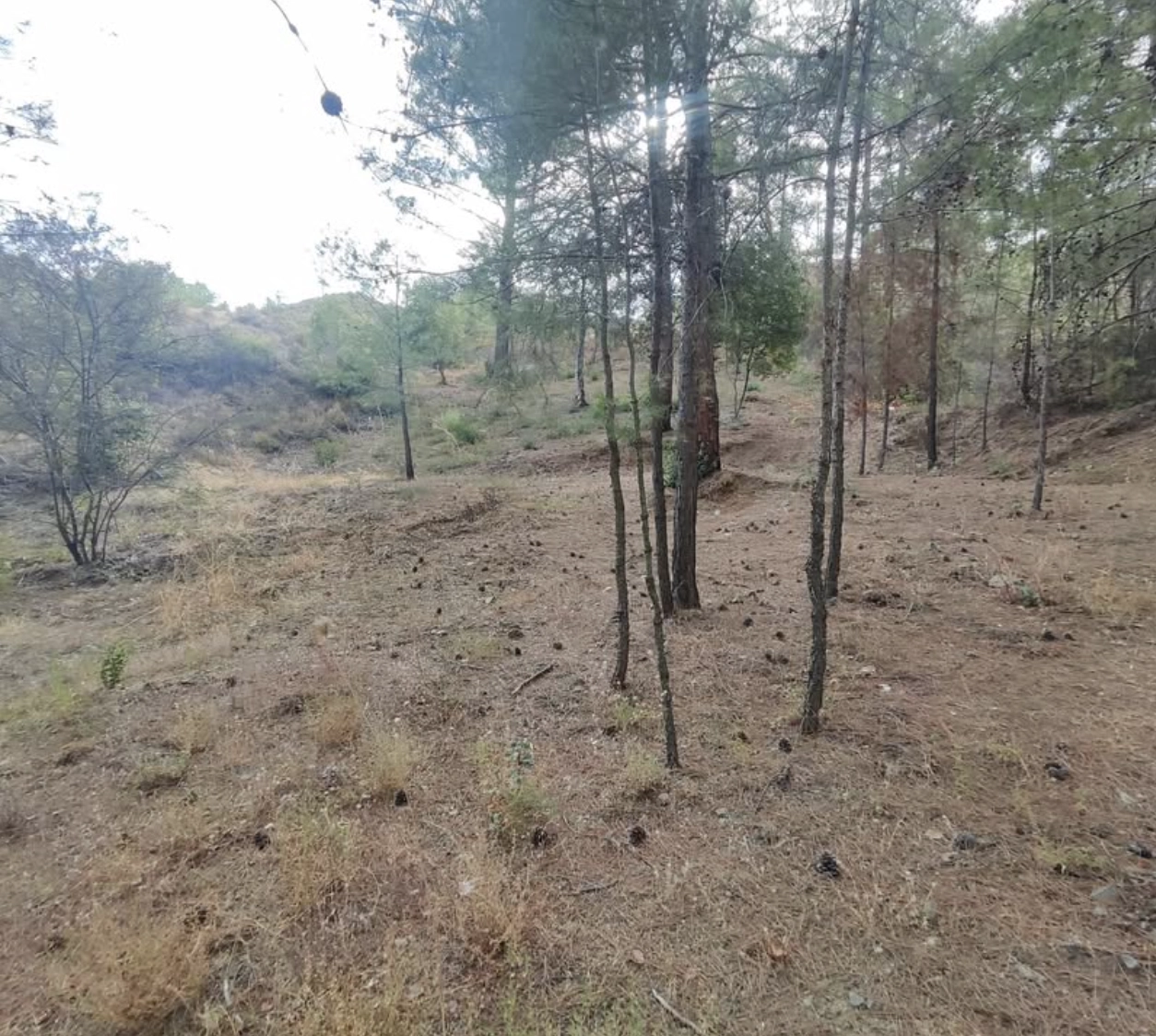 1,095m² Plot for Sale in Kato Platres, Limassol District