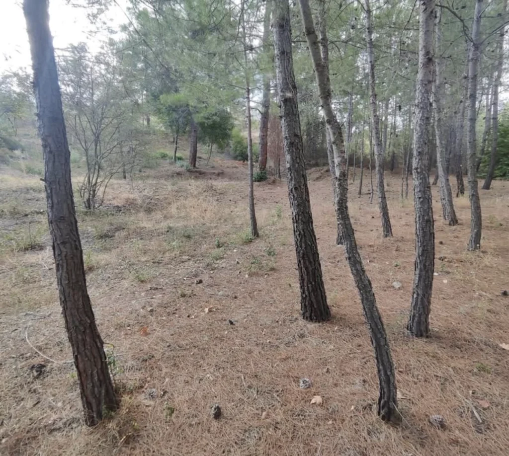 1,095m² Plot for Sale in Kato Platres, Limassol District