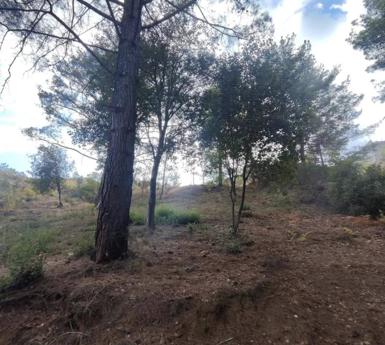 1,095m² Plot for Sale in Kato Platres, Limassol District