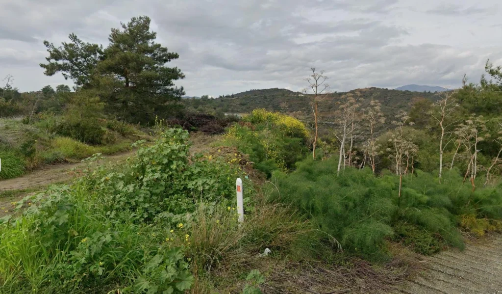 11,687m² Plot for Sale in Kellaki, Limassol District