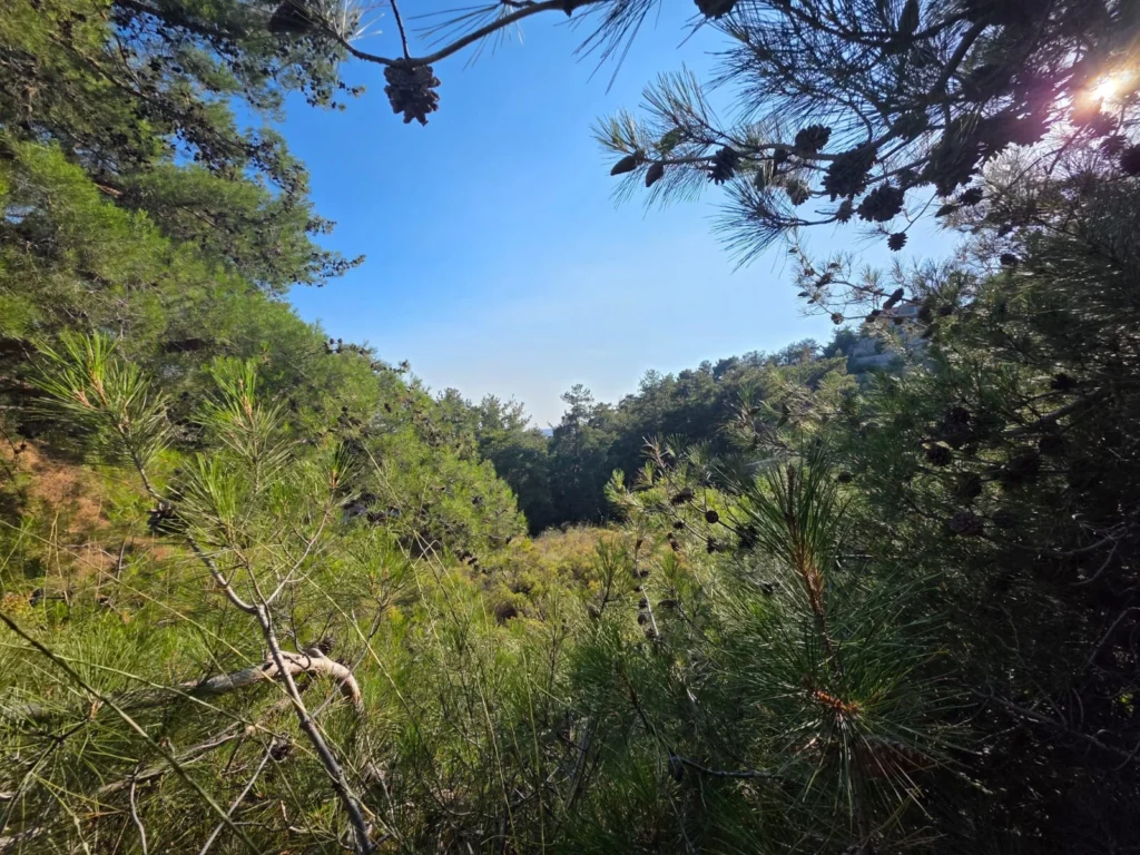 1,684m² Plot for Sale in Pano Platres, Limassol District