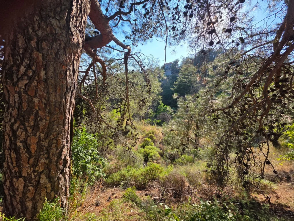1,684m² Plot for Sale in Pano Platres, Limassol District