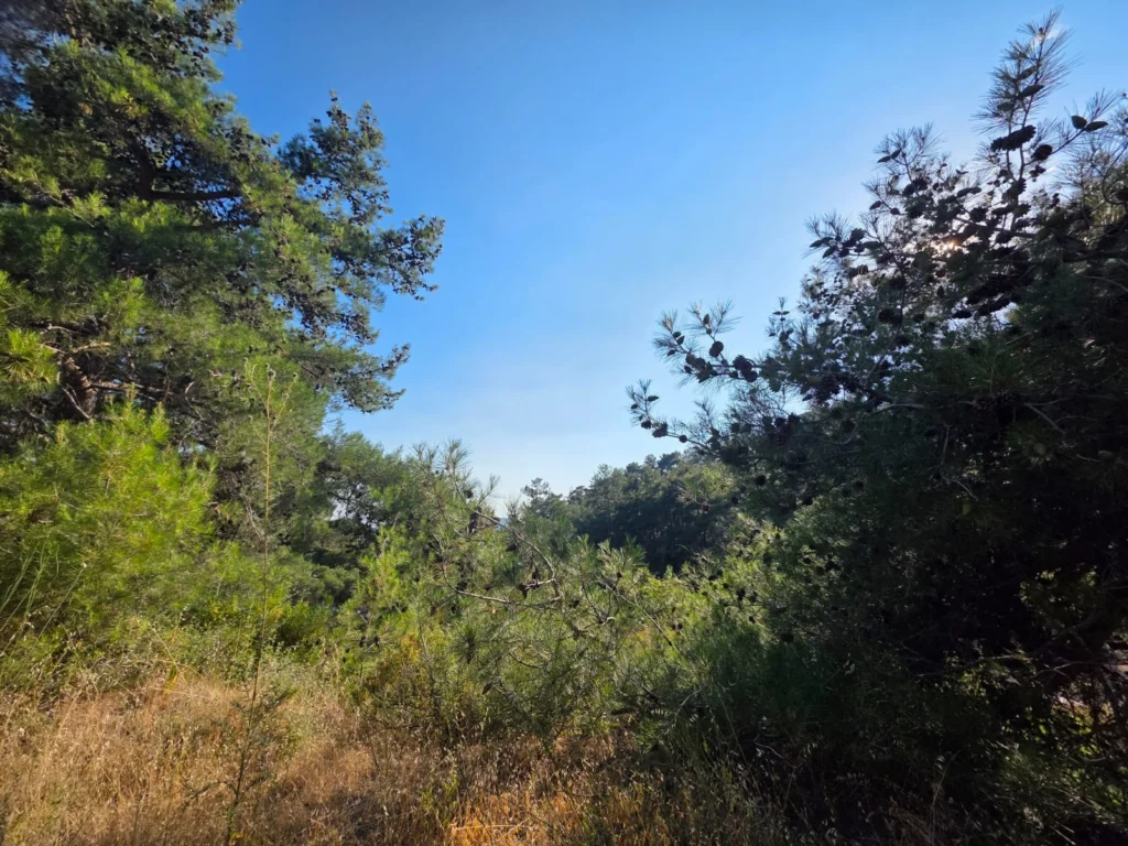 1,684m² Plot for Sale in Pano Platres, Limassol District