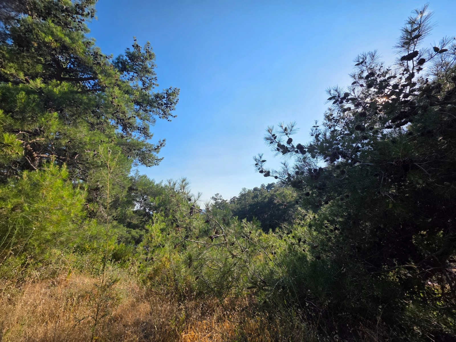 1,684m² Plot for Sale in Pano Platres, Limassol District