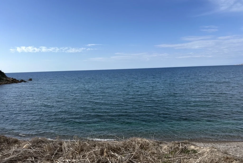 2,010m² Plot for Sale in Kissonerga, Paphos District