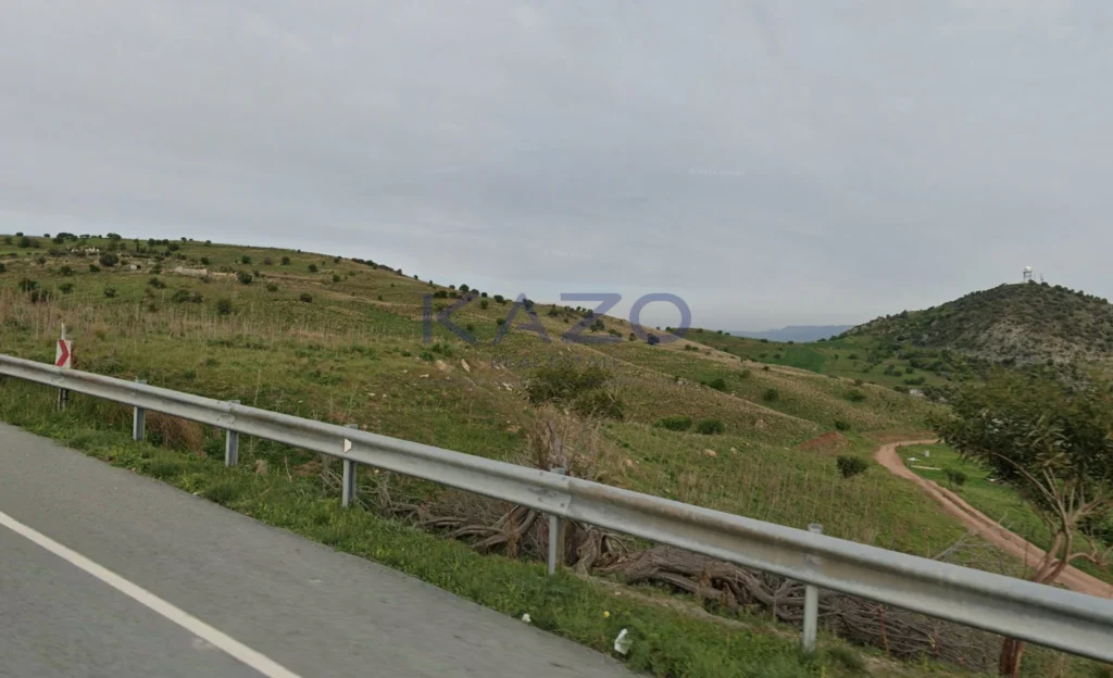 17,728m² Plot for Sale in Nata, Paphos District