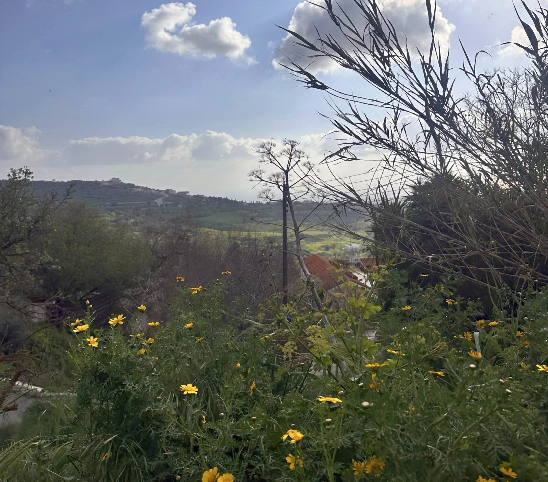 1,338m² Plot for Sale in Armou, Paphos District