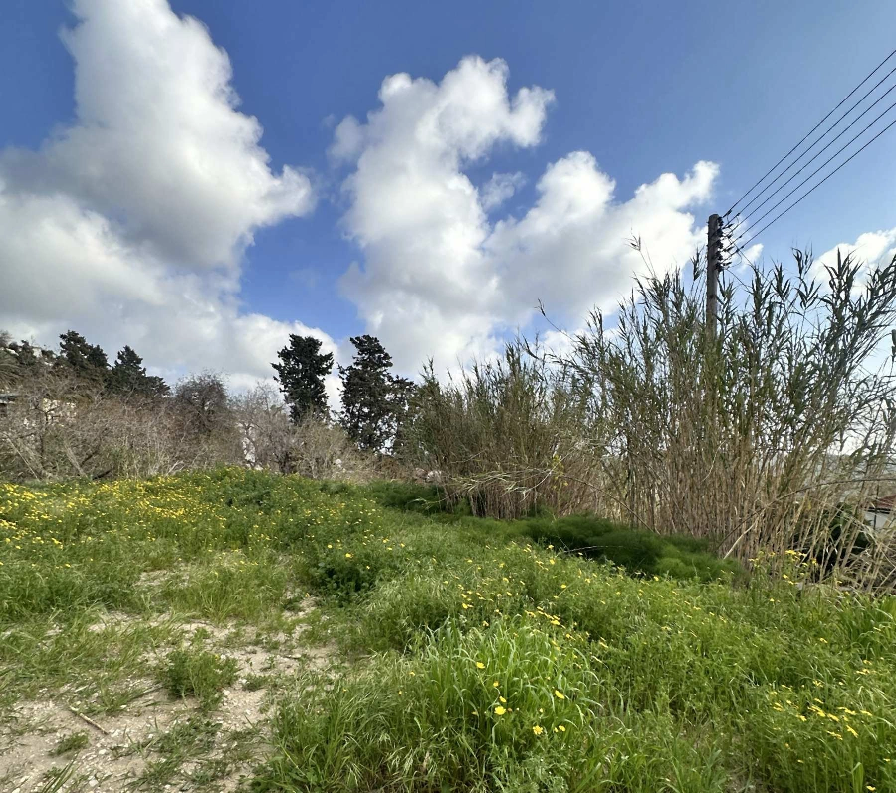 1,338m² Plot for Sale in Armou, Paphos District