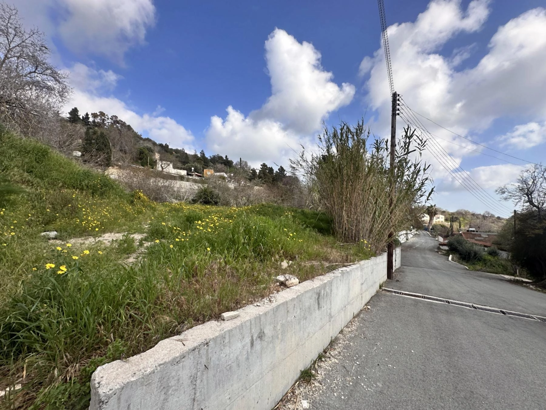 1,338m² Plot for Sale in Armou, Paphos District