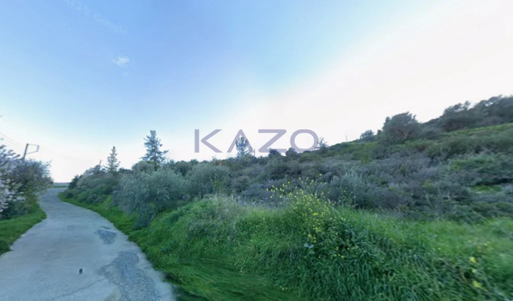 9,254m² Plot for Sale in Akrounta, Limassol District