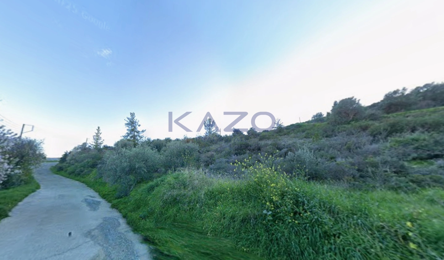 9,254m² Plot for Sale in Akrounta, Limassol District