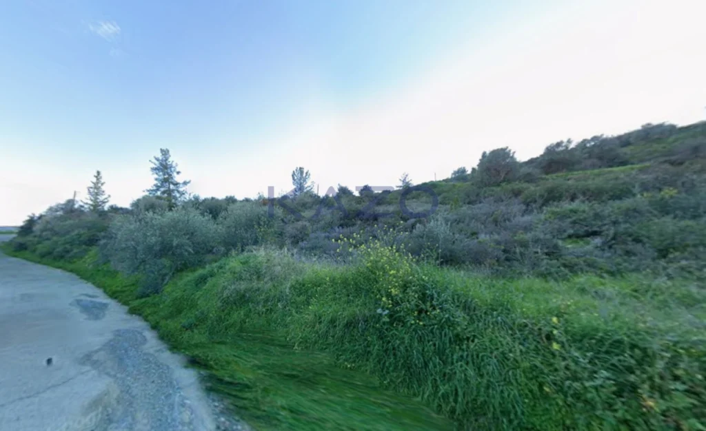 9,254m² Plot for Sale in Akrounta, Limassol District