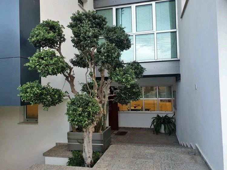3 Bedroom House for Rent in Episkopi, Limassol District