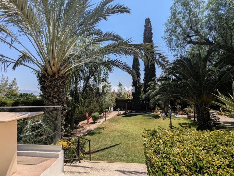 Average Price of a House in Nicosia