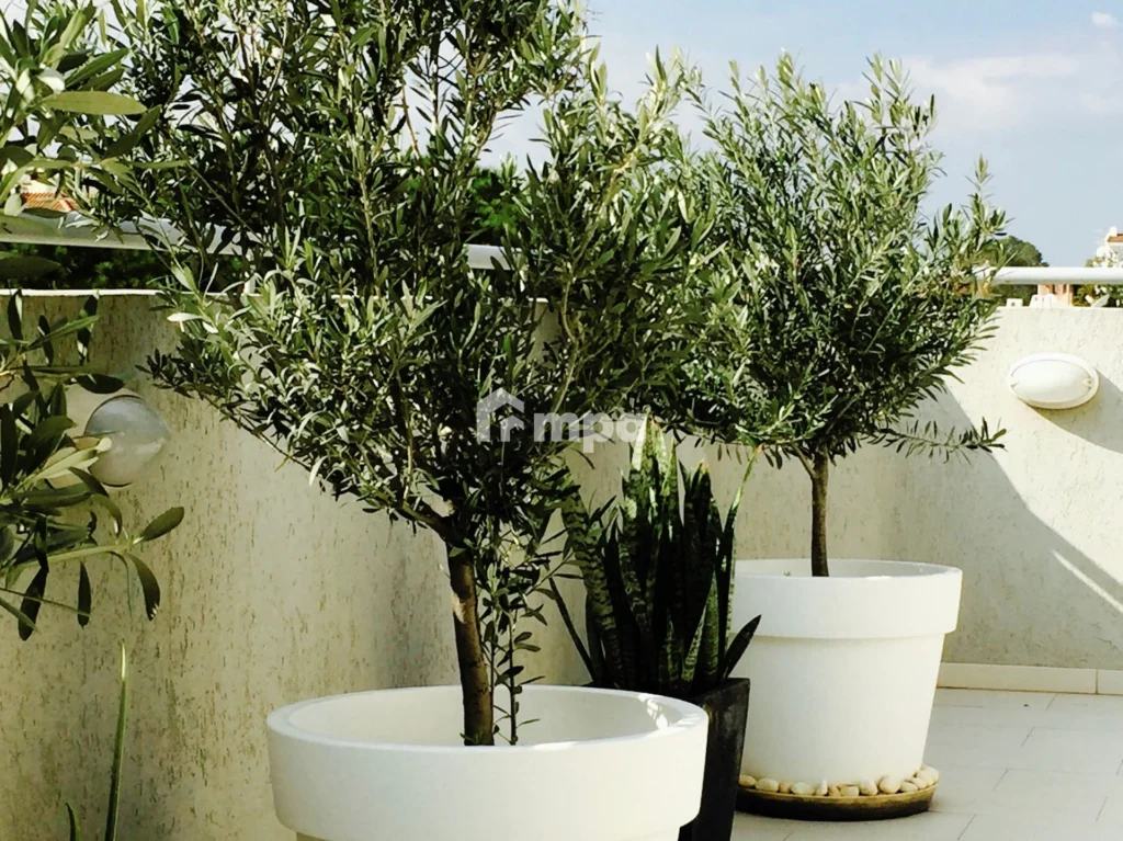 3 Bedroom Apartment for Rent in Strovolos, Nicosia District
