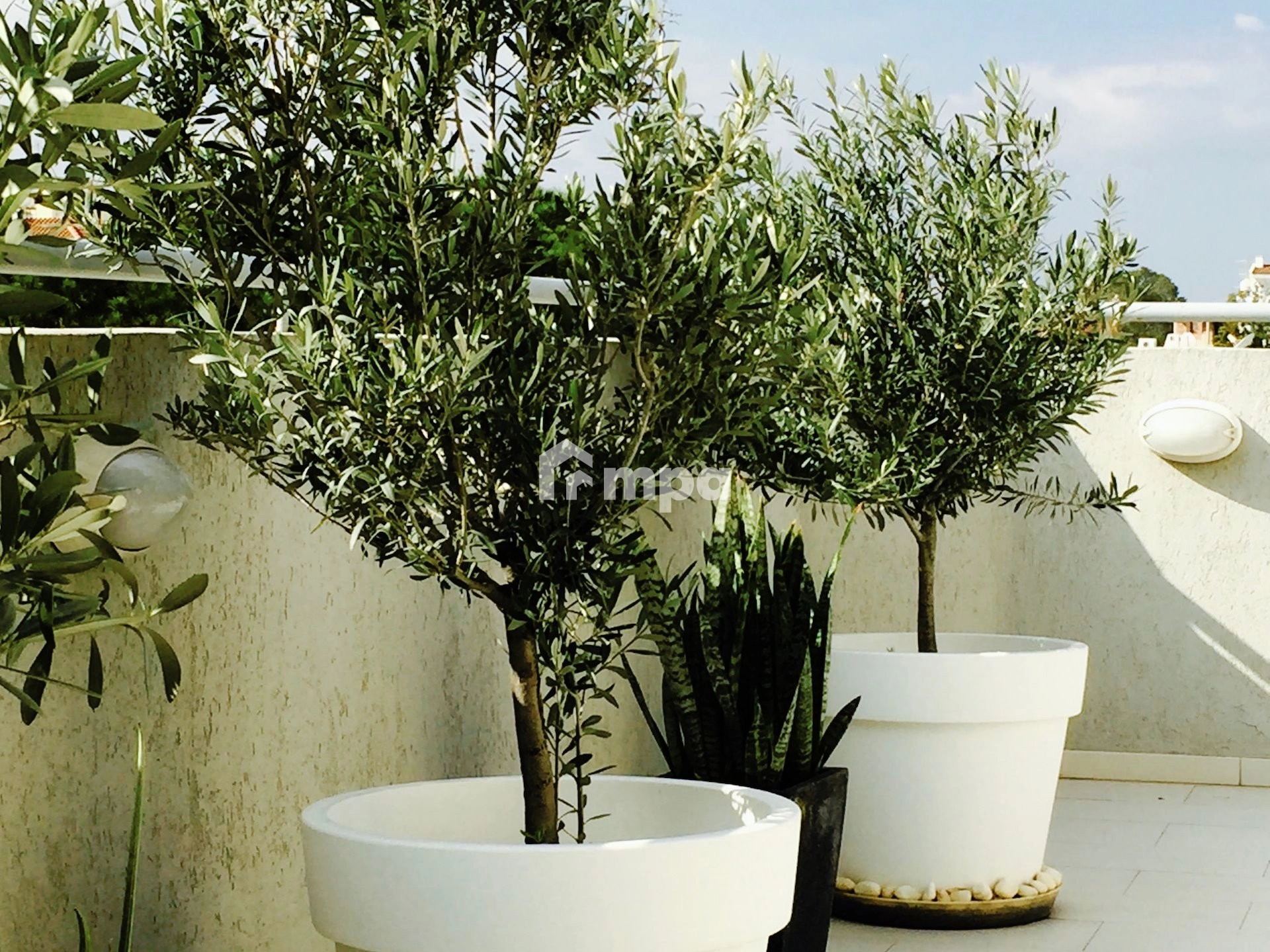 3 Bedroom Apartment for Rent in Strovolos, Nicosia District
