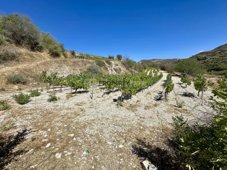 4,014m² Plot for Sale in Koilani, Limassol District